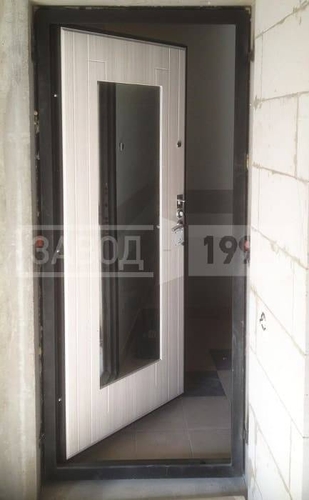 Дверь с МДФ панелями и зеркалом Дверь с МДФ панелями и зеркалом